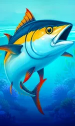 Big Boat Big Catch